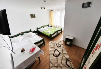 Vila Bogdan apartamentul 1 (9)